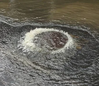 Discovery & Consultation